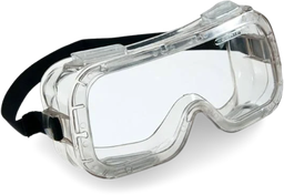 Schutzbrille farblos aus Kunststoff 'claro' - Hauptbild (remove.bg Rohbild)