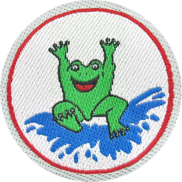Frosch-Abzeichen - Hauptbild (remove.bg Rohbild)