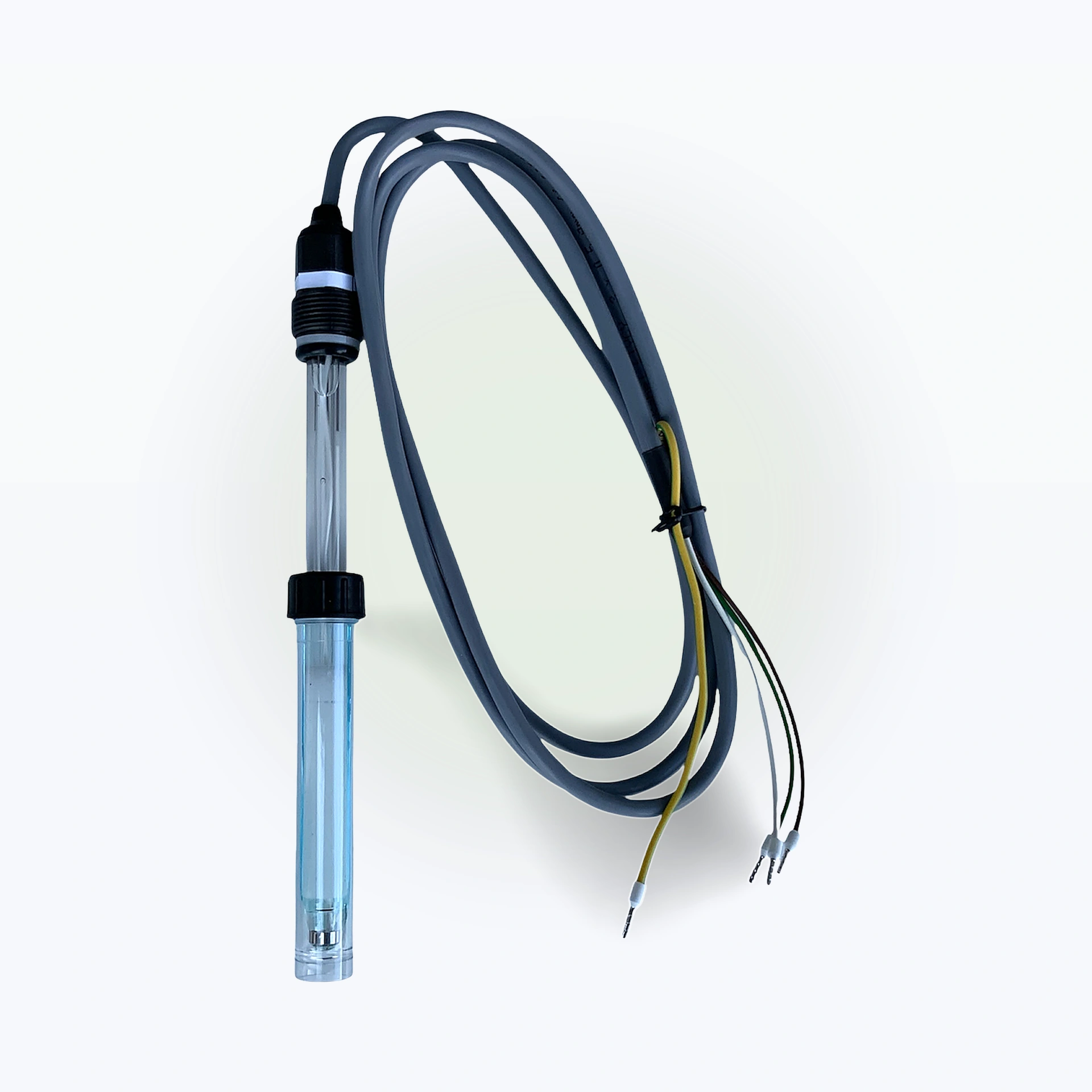 Chlorelektrode 165mm 1,6m Festkabel für Evoqua W&T Depolox - Ersetzt W3T160360